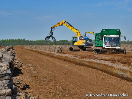 DGMT e.V. - Sektion 2