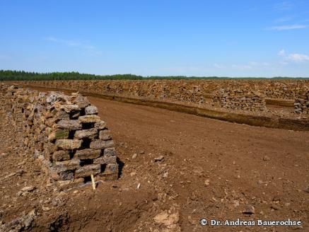 DGMT e.V. - Sektion 2