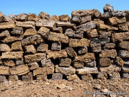 DGMT e.V. - Sektion 2