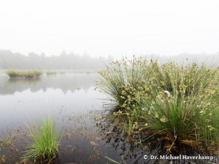 DGMT e.V. - Sektion 5