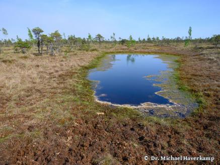 DGMT e.V. - Sektion 5