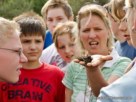 Moorbahn im Moormuseum Groß Hesepe