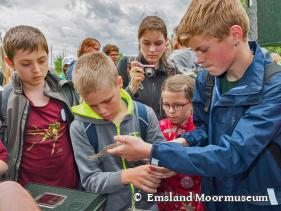 Sektion 7 - Ausgrabung eines neolithischen Moorwegs im Campemoor