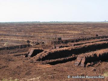 Sektion 2 - Torfgewinnung und -verwertung