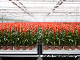 Sektion 3 - Land-, Forstwirtschaft und Gartenbau