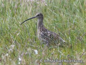 Sektion 5 - Naturschutz und Raumordnung